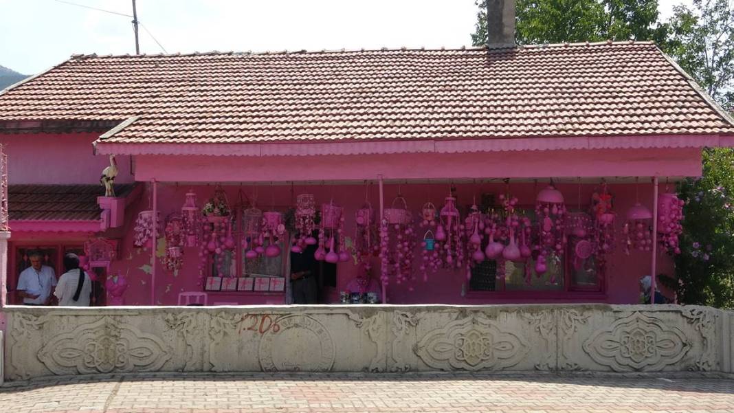 Daha önce böyle bir ev görmediniz! Türkiye'nin dört bir yanından görmeye geliyorlar, meğer çocukluk hayaliymiş 22